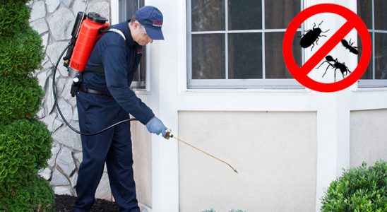 Kandıra Hamam Böceği İlaçlama böcek ilaçlama ve haşere kontrolü — ilaclama-tr.com